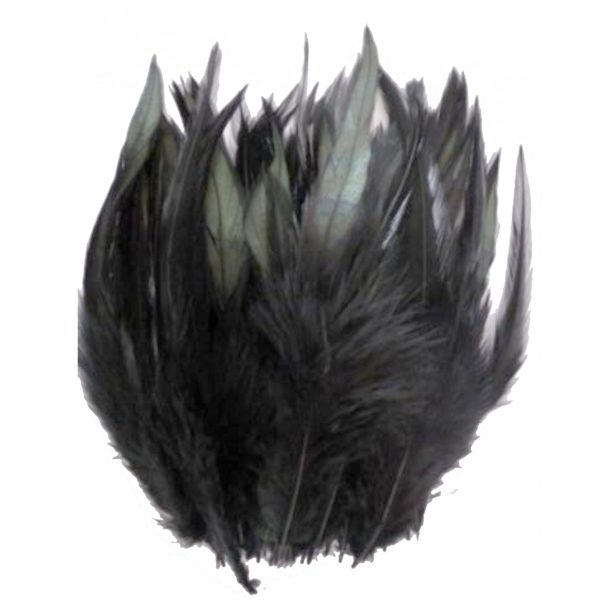 Steampunk veren voor een hoed-zwart