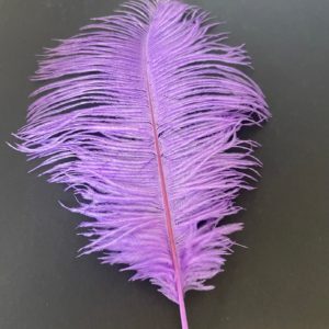 lichtpaarse struisvogel veer